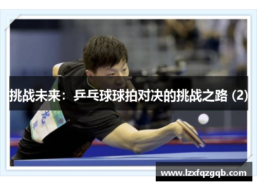 挑战未来：乒乓球球拍对决的挑战之路 (2)