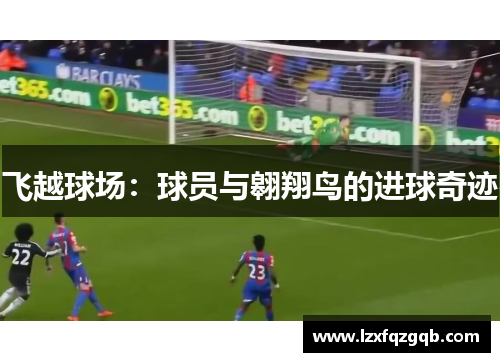 飞越球场：球员与翱翔鸟的进球奇迹