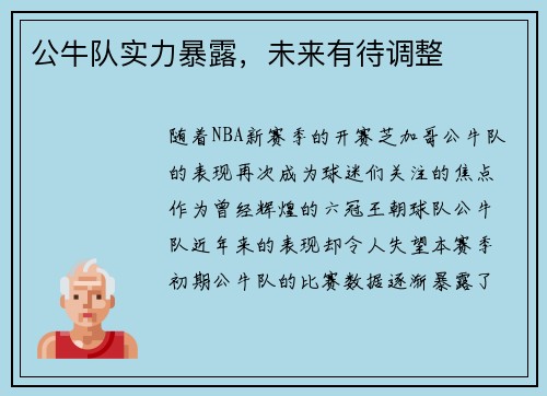 公牛队实力暴露，未来有待调整